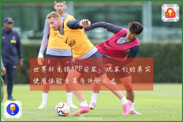 世界杯竞猜APP安装，玩家们的真实使用体验分享与评价汇总
