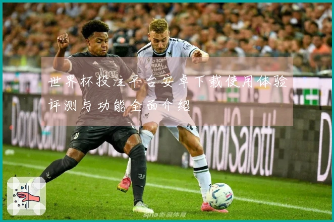 世界杯投注平台安卓下载使用体验评测与功能全面介绍