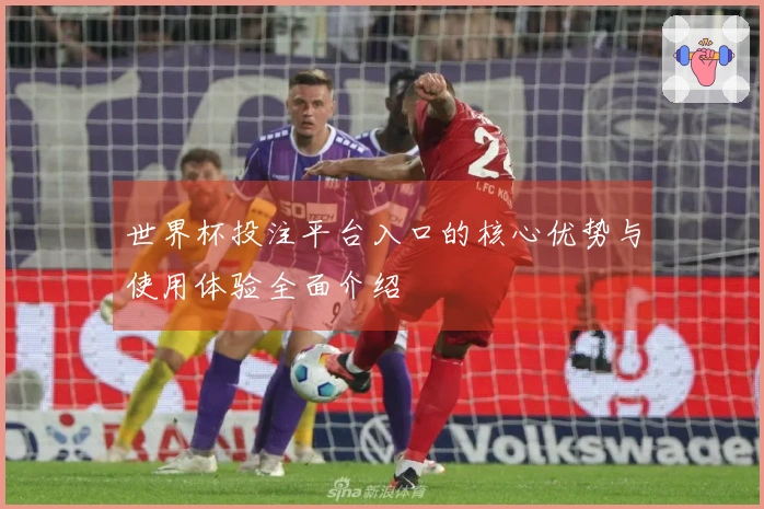 世界杯投注平台入口的核心优势与使用体验全面介绍