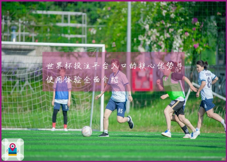 世界杯投注平台入口的核心优势与使用体验全面介绍