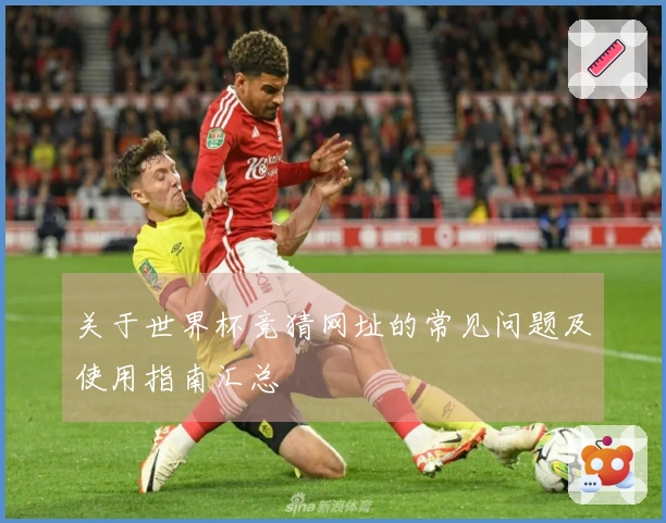 关于世界杯竞猜网址的常见问题及使用指南汇总