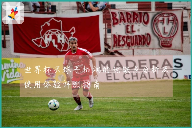 世界杯买球手机端的优缺点分析及使用体验评测指南