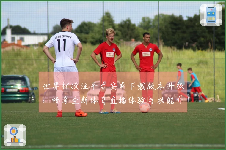 世界杯投注平台安卓下载版本升级，畅享全新体育直播体验与功能介绍
